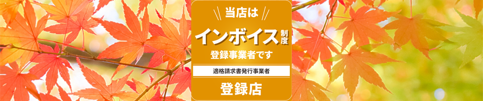 ハウスクリーニングサービス